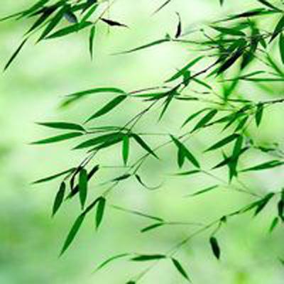 古代启示录手游下载