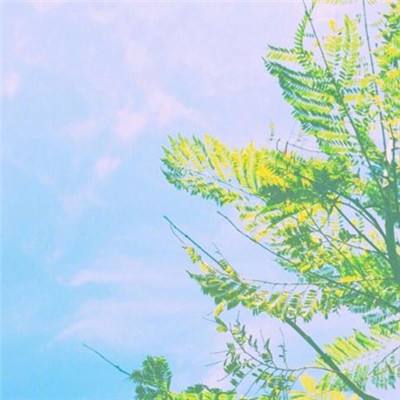 九游七境手游下载