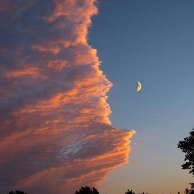 幻想义妖传官方版下载