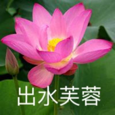 太古封魔录之神王觉醒最新版下载